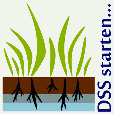 Um das DSS zu starten klicken Sie bitte auf das Logo.